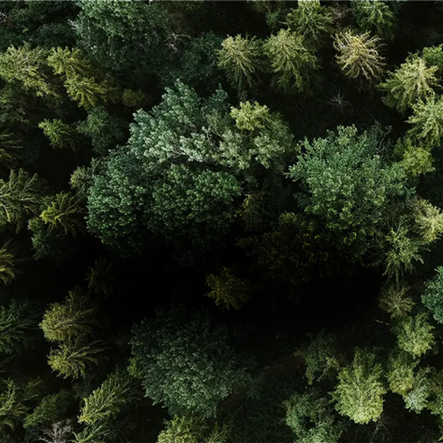 WOOD MATERIALS EXPERTS